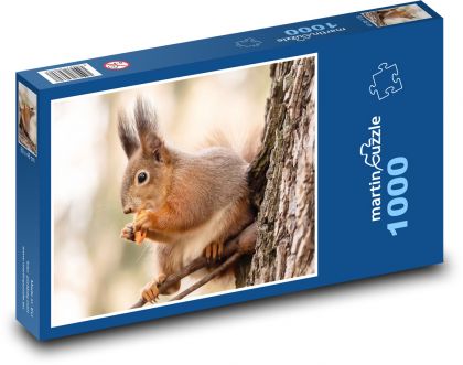 Veverica. - Puzzle 1000 dielikov, rozmer 60x46 cm