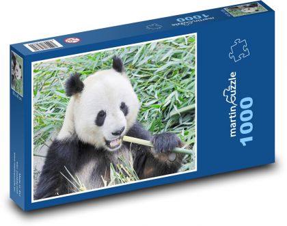 Panda - Puzzle 1000 dielikov, rozmer 60x46 cm