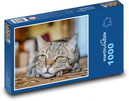 Zielonooki kot - Puzzle 1000 elementów, rozmiar 60x46 cm