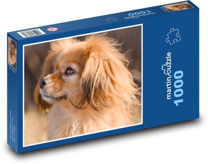 Hund - Säugetier - Puzzle - 1000 Teile