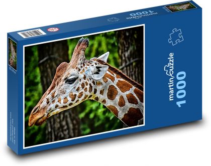 Giraffe - Puzzle - 1000 Teile