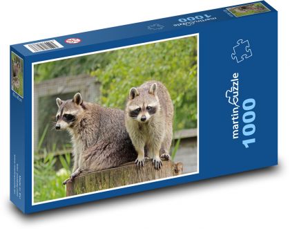 Szop - Puzzle 1000 elementów, rozmiar 60x46 cm