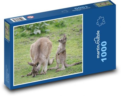 Kangur - torbacz - Puzzle 1000 elementów, rozmiar 60x46 cm