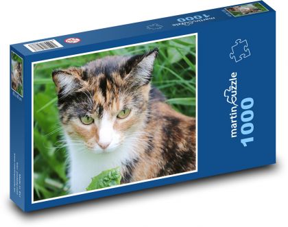 Gepunktete Katze - Puzzle - 1000 Teile