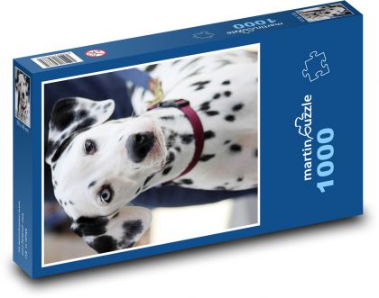 Dalmatín - pes - Puzzle 1000 dielikov, rozmer 60x46 cm