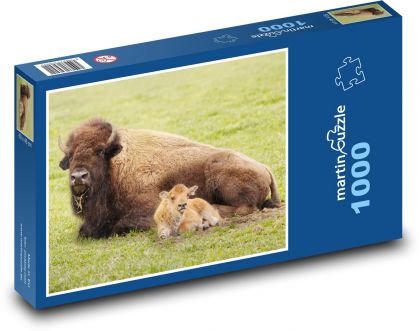 Buvol - puzzle 1000 dílků