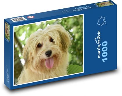 Havanský psík  - puzzle 1000 dílků