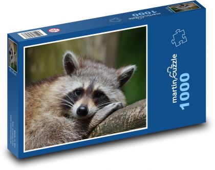 Mýval - medvěd - puzzle 1000 dílků