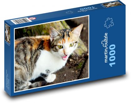 Spotted cat - Puzzle 1000 pieces, size 60x46 cm 