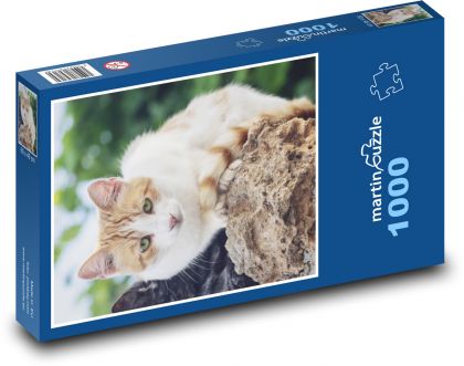 Rezavá kočka - puzzle 1000 dílků