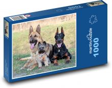 Dobermann, Yorkshire Terrier, Deutscher Schäferhund Puzzle 1000 Teile - 60 x 46 cm