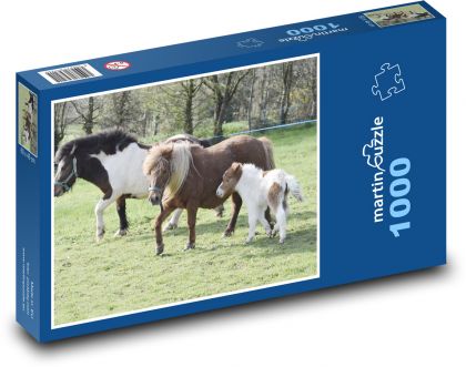 Shetlandští poníci - puzzle 1000 dílků