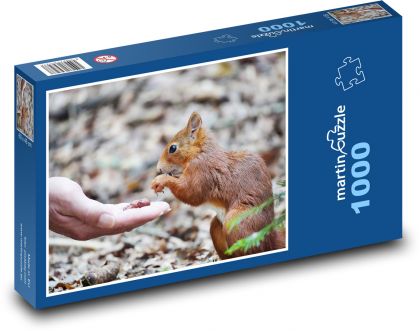 Veverka - hlodavec - puzzle 1000 dílků