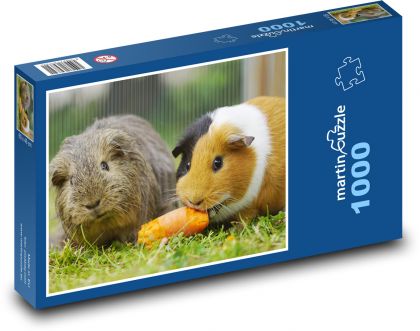Morčata - hlodavci - puzzle 1000 dílků