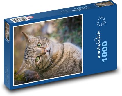 Hauskatze - Puzzle - 1000 Teile