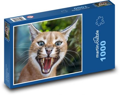 Mačka s dlhou bradou - Puzzle 1000 dielikov, rozmer 60x46 cm