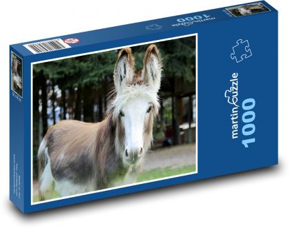 Osol domáci - Puzzle 1000 dielikov, rozmer 60x46 cm