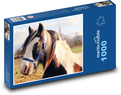 Kôň na pastvine - Puzzle 1000 dielikov, rozmer 60x46 cm