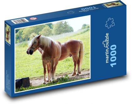 Zvířata - koně - puzzle 1000 dílků
