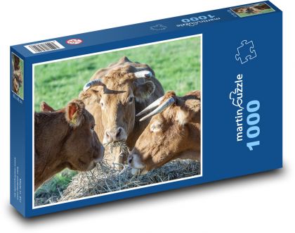Cows - Puzzle 1000 pieces, size 60x46 cm 