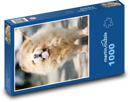 Chow-Chow - Hund - Puzzle - 1000 Teile