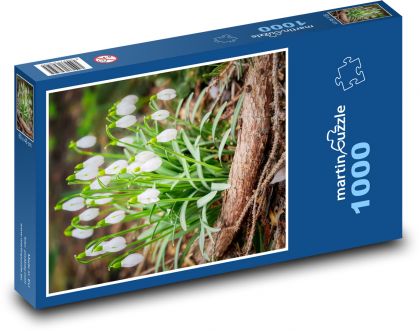 Przebiśniegi - kwiaty wiosenne - Puzzle 1000 elementów, rozmiar 60x46 cm