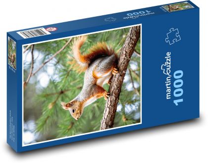 Eichhörnchen. - Puzzle - 1000 Teile