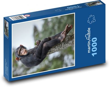 Szympans - małpa - Puzzle 1000 elementów, rozmiar 60x46 cm