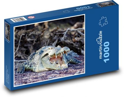 Crocodylus - Puzzle 1000 pieces, size 60x46 cm 
