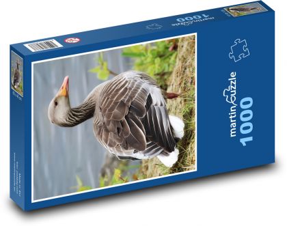 Hus - vták - Puzzle 1000 dielikov, rozmer 60x46 cm