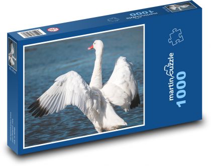 Labuť na jazere - Puzzle 1000 dielikov, rozmer 60x46 cm