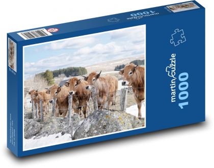 Winter - Kuh - Puzzle - 1000 Teile