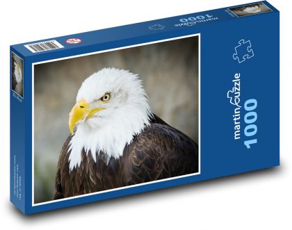 Ptak - orzeł - Puzzle 1000 elementów, rozmiar 60x46 cm