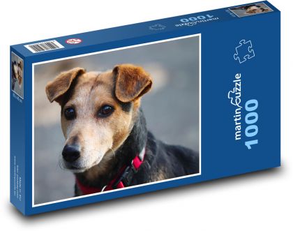 Smíšené plemeno psa - puzzle 1000 dílků