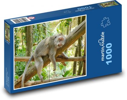 Indonezja - Bali, małpa - Puzzle 1000 elementów, rozmiar 60x46 cm