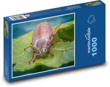 Beetle - insect Puzzle 1000 pieces - 60 x 46 cm