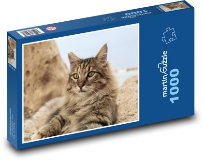 Eine Katze mit langem Bart - Puzzle - 1000 Teile