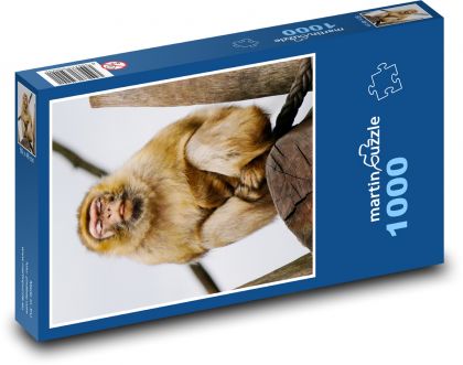 Opica - makak - Puzzle 1000 dielikov, rozmer 60x46 cm
