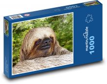 Leňochod Puzzle 1000 dielikov - 60 x 46 cm 