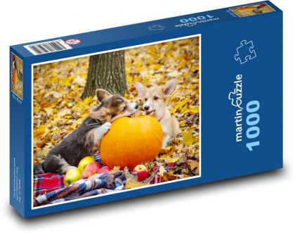 Corgi Dogs - szczenięta - Puzzle 1000 elementów, rozmiar 60x46 cm