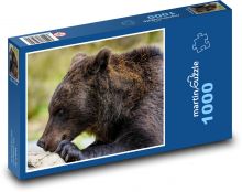 Medvěd hnědý Puzzle 1000 dílků - 60 x 46 cm