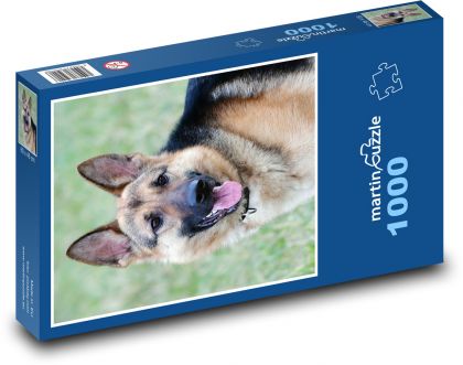 Nemecký ovčiak - pes - Puzzle 1000 dielikov, rozmer 60x46 cm