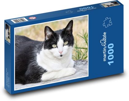 Čierno-biela mačka - Puzzle 1000 dielikov, rozmer 60x46 cm