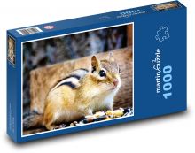 Eichhörnchen - Nagetier Puzzle 1000 Teile - 60 x 46 cm