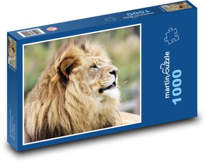 Lev - velká kočka - puzzle 1000 dílků