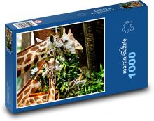Žirafy - krmení Puzzle 1000 dílků - 60 x 46 cm