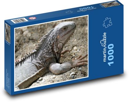 Leguán - ještěrka - puzzle 1000 dílků