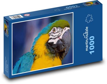 Parrot - Puzzle 1000 pieces, size 60x46 cm 