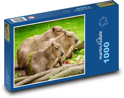 Kapybara - Puzzle 1000 dielikov, rozmer 60x46 cm