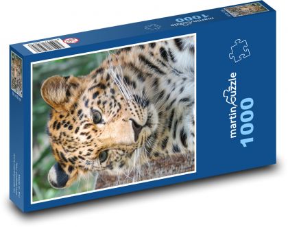 Leopard - Puzzle 1000 elementów, rozmiar 60x46 cm